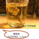 토종감국 이미지