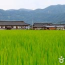 창평 Daum카페