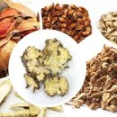 동하약국 이미지