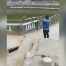 가만히 있던 원숭이 연못으로 떠밀어버린 중국남자 이미지