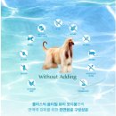 샤이니덴탈 이미지