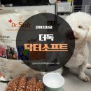 준 소프트 | 닥터소프트 NEW 라인업 출시 기호성 좋은 비프 사료 급여 후기
