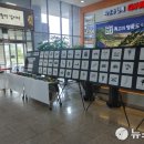 미로초교 이미지