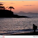 김밥천국플러스 이미지