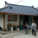 솔칼국수 - 논산시 | 솔칼국수