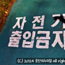 삼향천3 이미지