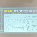 표선면사무소 이미지