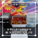 (주)하이퍼프리즘 | 포켓몬 카드 대회 비크티니 BWR 쟁탈전 두번째 덱 고찰