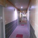 정선골프연습장 이미지