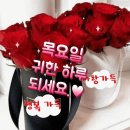 8월18일 신문을 통해 알게된 이야기들 및 뉴스 이미지