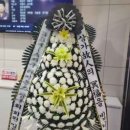 영월화환