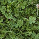 흥부와놀부 이미지