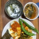 유방8통(인정2차) | (250911-250920) 가을이다 9월일지 2탄