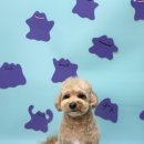 반야시스터 이미지