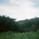 알라딘 게임장 | [39]
