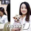 김수의과 동물병원 이미지