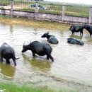 길거리 풍경스케치 이미지