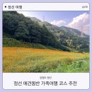 아라리쉼터 | 강원도 정선 애견동반 여행코스 | 아리랑시장 병방치 스카이워크 민둥산 거북이쉼터 최단코스