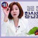 노화방지에 좋은 항산화 식품 뽕나무 열매 '오디' 조회수 7.7만회 4년 전 이미지