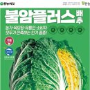 한농종묘사 이미지