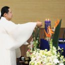 선기로2-4 이미지