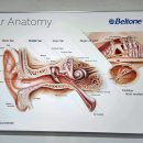강화디지털보청기 이미지