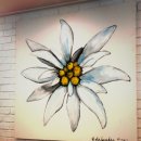 마더스 가든 이미지