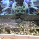 온양생태 이미지