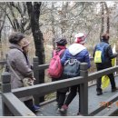 2호화장실(개나리화장실) 이미지