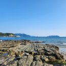 상족암오토캠핑장 이미지