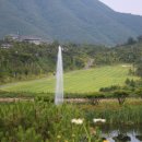 리온스포츠