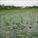 아침풍경 이미지