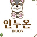 강아지 미용실 이미지