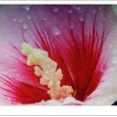 전북대삼성문화회관 이미지