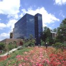 서강대학교 이미지