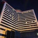 제주 스탠다드 이미지