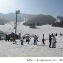 (주)제풀 네이버블로그