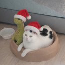 롯데칠성음료(주) 충주공장 | 일기를 몰아 쓰는게 사내의 도리 (먹기만함)