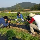 박상민농장 이미지