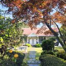 대흘샬레 이미지