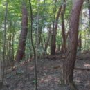 광천읍 상정마을회관 이미지