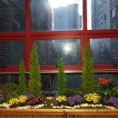 보정초등학교 이미지