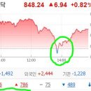 엠에스게임즈 이미지