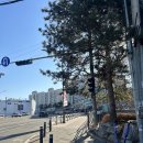 그린공간운동센터 수지구청점 이미지