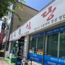 여수 알탕맛집 여수언니추천맛집 금풍식당