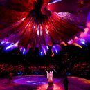 르헤브(Le reve)