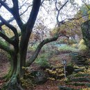 담양중정사지마애여래좌상 이미지