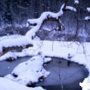 만엽가(제7권1310번)-작은 연못에 비친 秋冬의 風景 이미지