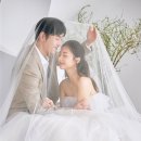 오트밀스튜디오 이미지