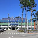 양양어린이집 이미지